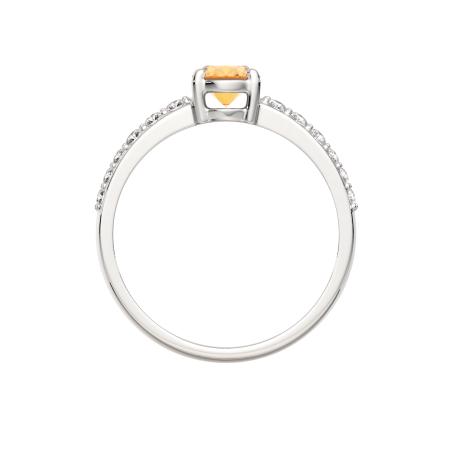 Кольцо 02S7093.ZZ