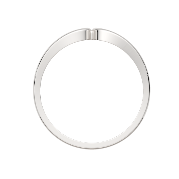 Кольцо 0210636.ZZ