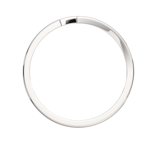 Кольцо 0200109.ZZ