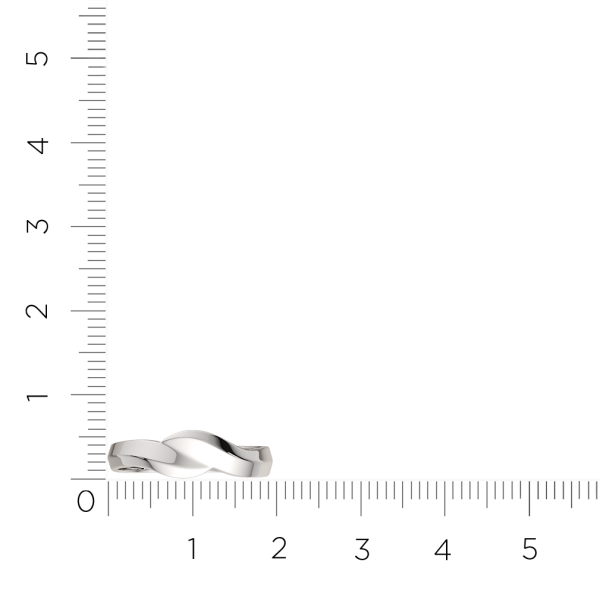 Кольцо 0200298.ZZ