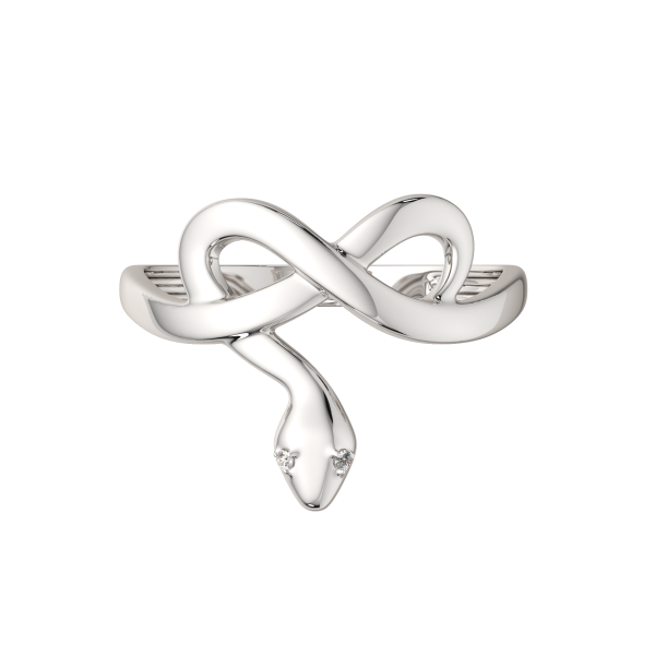 Кольцо 02101127.ZZ