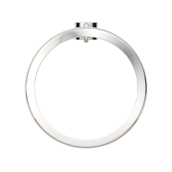 Кольцо 0210858.ZZ Кольцо 0210858.ZZ