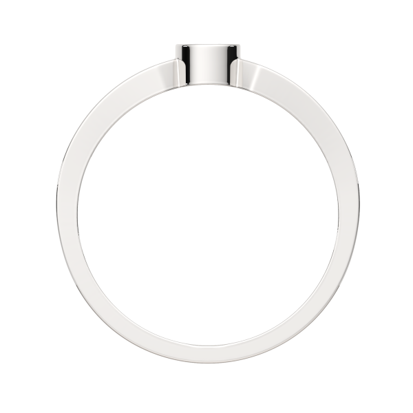 Кольцо 0210834.ZZ Кольцо 0210834.ZZ