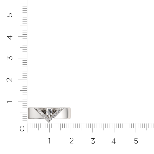 Кольцо 0210447.ZZ Кольцо 0210447.ZZ